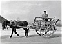Carretti e animali a Montegrotto. Aprile 1956- 2